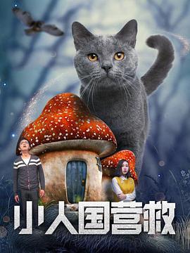 二次元活动
