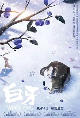 二次元活动